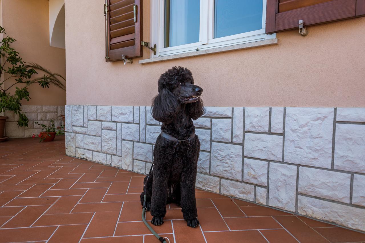 Rona Apartments Ani Ičići Kültér fotó
